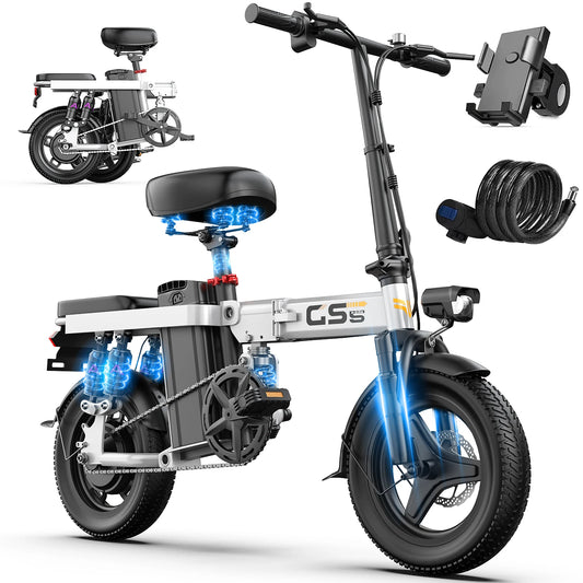 Electric Folding Bike For Adults 750W Peak 48V Battery
