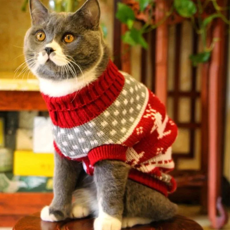 Guangdong Christmas Dog Sweater Coat For Pets Winter